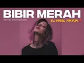 Download Lagu ‼️DJ VIRAL TIKTOK‼️BIBIR MERAH - RIZKY TENG ( FAHMY RADJAK EDIT )