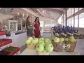 Dream Drives Sweet Summer Fruits at Mood s Farm Market