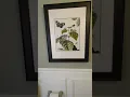 HONEST Review Botanical Prints - Nature Study Collage No 23