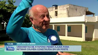 Veranistas de Atafona, em São João da Barra, pedem ajuda para retirar colmeia construída em um poste