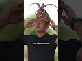 Download Lagu MISI KUALI MERAH PUTIH EPISODE 01 SUDAH TAYANG! Siapa yang nonton?