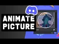 How to Animate Your Discord Profile Picture
