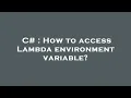 C How to access Lambda environment variable