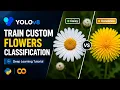 Train Custom Flowers Classification Model using YOLOv8 Complete Deep Learning Tutorial