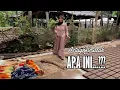 Lagu JUTAAN ORANG MENANGIS! BENARKAH APA YANG SAYA LIHAT || DEMI SESUAP NASI RELA BERKORBAN - Ar Rumi TV