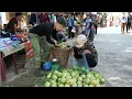 Download Lagu 2 jaar in het bos gewoond, grote guaves geoogst om te verkopen op de markt. Meer fruitbomen geplant