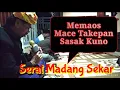 Lagu SERAT MADANG SEKAR || memaos Tembang Sasak kitab Lontar