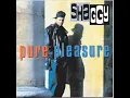 Big Up - Shaggy & Rayvon