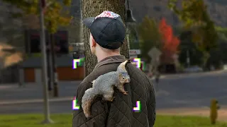 Bakersfield Squirrels