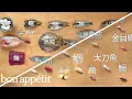 How to Make 12 Types of Sushi with 11 Different Fish Handcrafted Bon Appetit