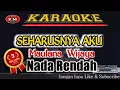 SEHARUSNYA AKU-Maulana Wijaya Karaoke/lirik Nada Rendah