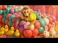 Download Lagu Monyet Lily pertama kali merasakan sensasi merawat tubuh dan mempercantik diri! | Lily Indonesian