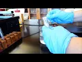 Experiment 8 Limiting Reagent