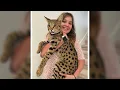 Savannah Cat 101 - Learn ALL About Them!