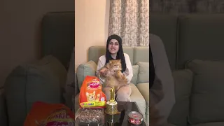 برائيكن مين يلي ع يحضر عيد الميلاد 