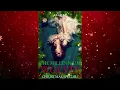 The Millennium Wolves Christmas A Cozy and Sexy Xmas Story