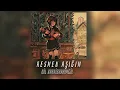 Nil Karaibrahimgil - Resmen aşığım(speed up)