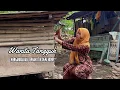 DITINGGAL SEJAK HAMIL MUDA...! JANDA INI MENDERITA TANPA ORANGTUA || JANDA DESA CANTIK - Ar Rumi TV