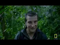 Jungles: Survival of the Fittest (Full Episode) | Hostile Planet
