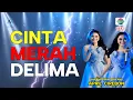 Lagu CINTA MERAH DELIMA  - LAGU BARU KOPLO BUAT APRIL DA7 LIVE MUSIC