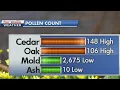 POLLEN 101 How weather affects pollen counts