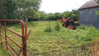 Some bushhogging today Thistle control