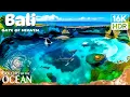 Lagu Bali 8K HDR Ultra HD | Heavenly Tropical Paradise \u0026 Scenic Island Bliss 🌴