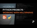 Houdini 18 - Python Projects