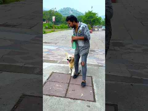 किसी आदमी को पानी पिलाने को बोल मेरा डॉगी😱 #funnydogs #shorts