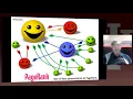 3-10-15-link-structure-analysis-including-pagerank mp4