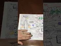 AP Biology Cellular Respiration graphic organizer