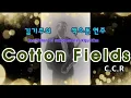 Download Lagu 김기주의 색소폰 연주: Cotton Fields (C.C.R)