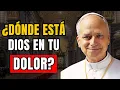 Download Lagu ¿Por Qué Dios Permite Tanto Dolor? | El Santo Papa León XIV responde