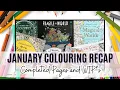 JANUARY 2025 Colouring Recap Completed Pages