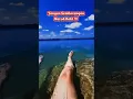 Download Lagu Buaya Gigit Kaki !!! Jangan Sampe Terjadi !!!