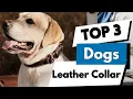 TOP 3 BEST LEATHER COLLAR FOR DOGS 2025-2026