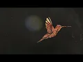 Tom Morello - They Can't Kill Us All (Official Lyric Video)