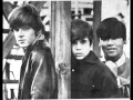 Download Lagu Dino, Desi \u0026 Billy - Pretty Flamingo