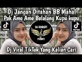 Download Lagu DJ JANGAN DI TAHAN BB MAHAL X POK AME AME BELALANG KUPU KUPU VIRAL TIKTOK TERBARU