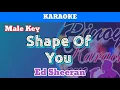 Download Lagu Shape Of You by Ed Sheeran (Karaoke : Higher Key : +3)