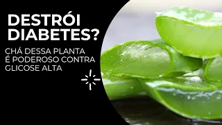 Essa Planta Destrói o Diabetes? Como Preparar Esse Remédio Natural