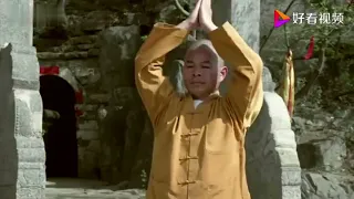 shaolin temple martial arts collection of forms by shi de yang 