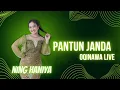 Lagu PANTUN JANDA - Ning Haniya - oQinawa Live Gumelar