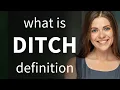 Ditch what is DITCH definition