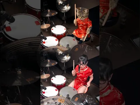 Ancient style meets modern chaos.😆 #brunomarsbrasil #tarnsoftwhip #femaledrummer #drummergirl #cat