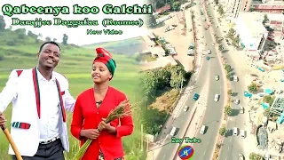 2019 New Ethiopian Oromo Music Qabeenya Koo Galchii By Darajjee Daggafaa Roomee Official Video 