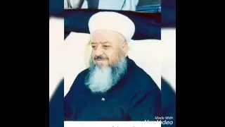                                                                                دندنها