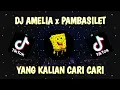 Download Lagu DJ AMELIA x AYAM AYAM PAMBASILET 🔊🎶// DJ TIKTOK TERBARU 2021