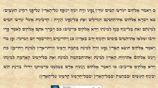 ראשון פרשת בראשית 