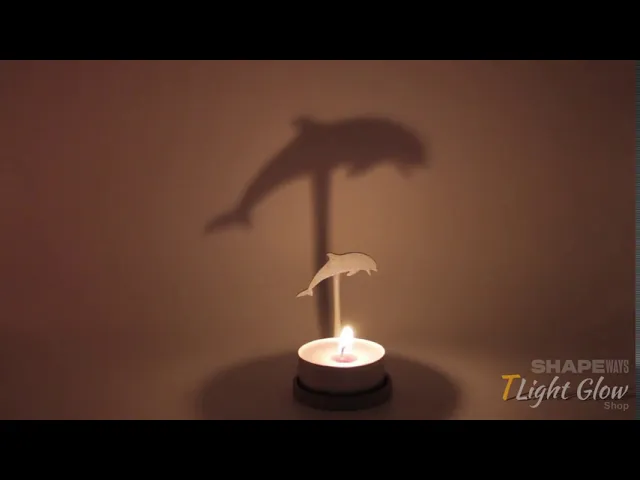 Animal Dolfin video thumbnail